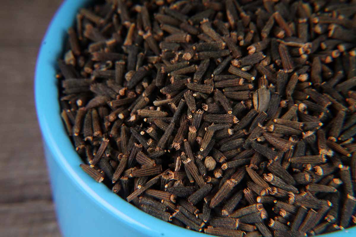 Black Cumin/Kala Jeera 50 Gm