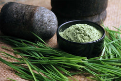 Wheat Grass Powder